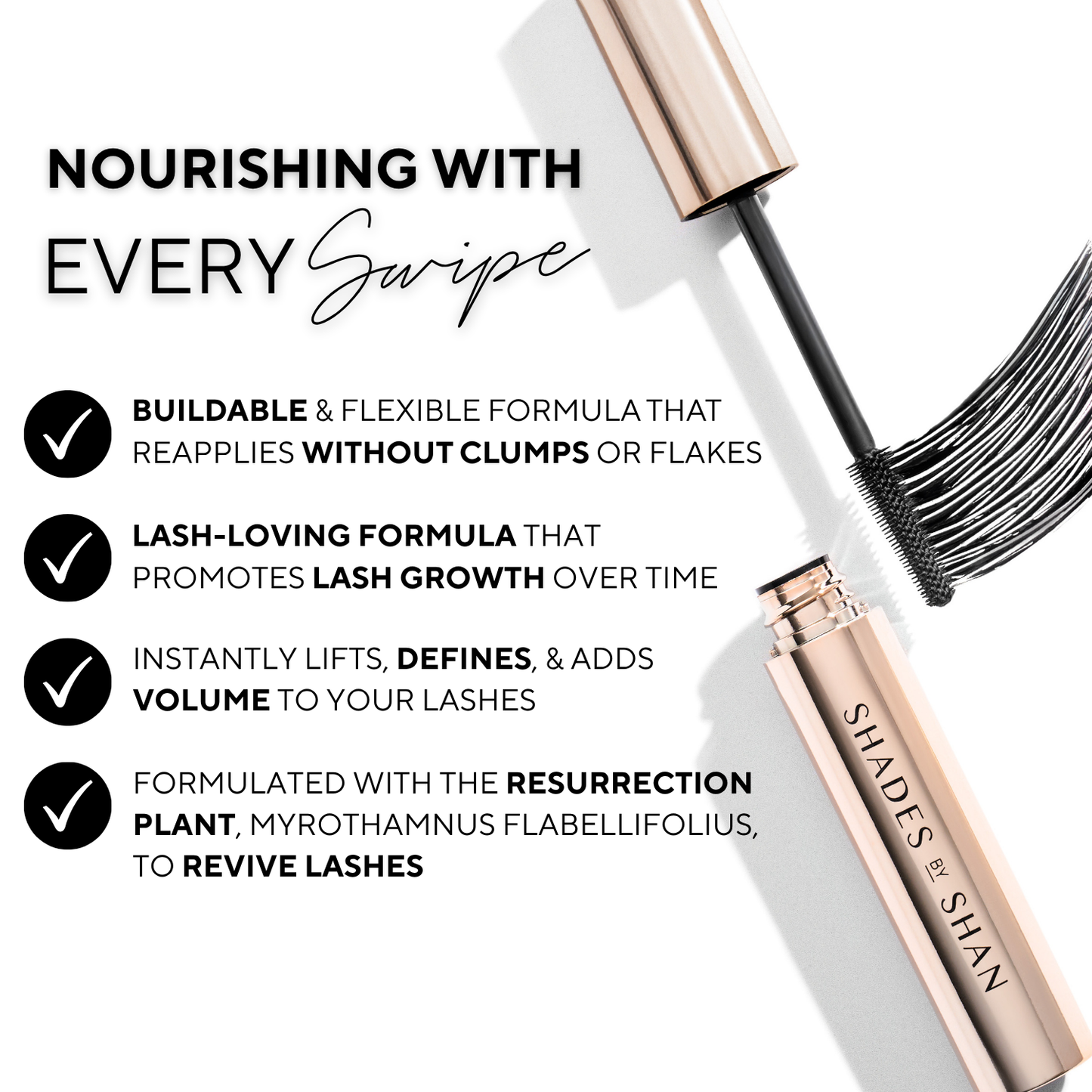 The Mascara (Online Only)
